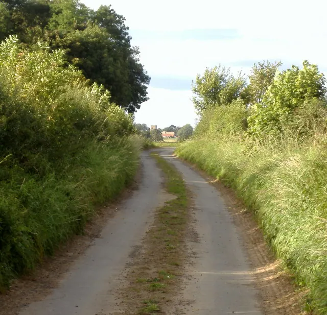 Looking Towards Pickhill From Sandfield Lane