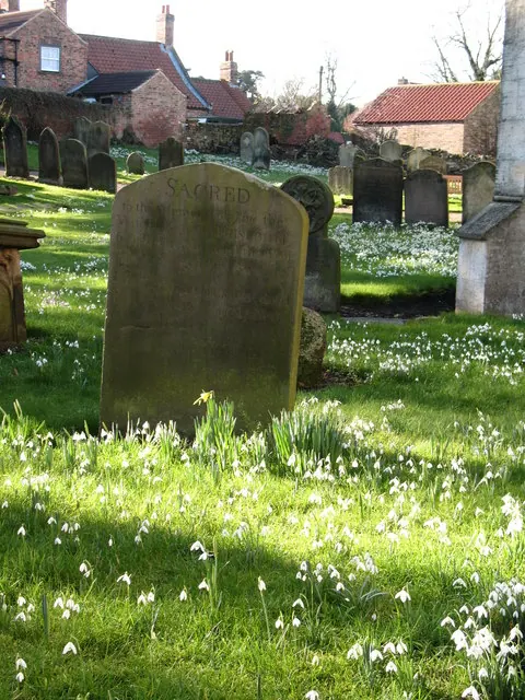 In a country churchyard