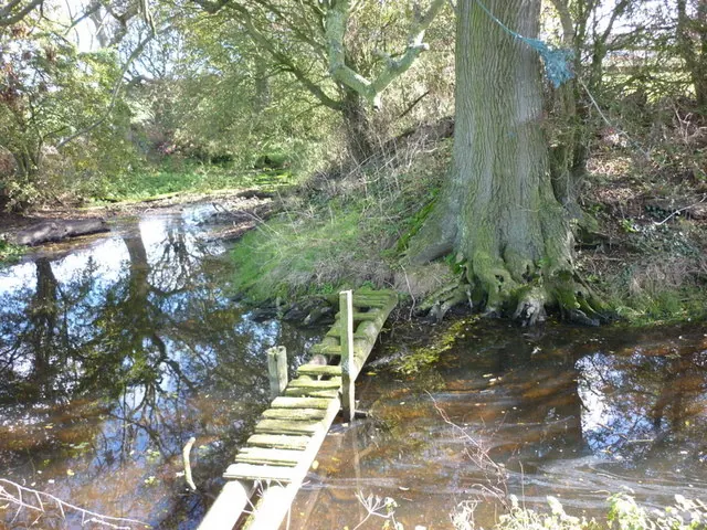 A bridge across  the moat
