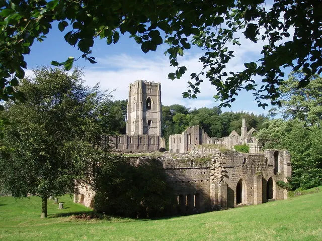 Abbey Ruins