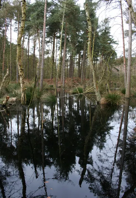 Reflections in mere by Barnsbridge Gate