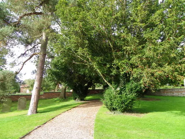 Path to the church, Aldwark