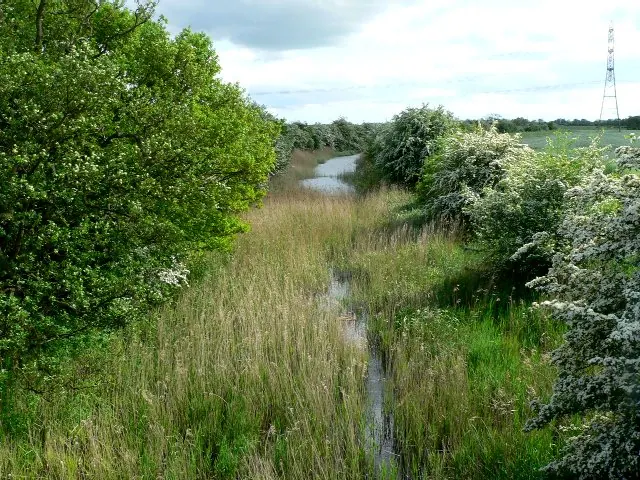 Pocklington Canal at Coates Bridge Lock