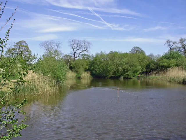 Fishing pool near Manley Old Hall