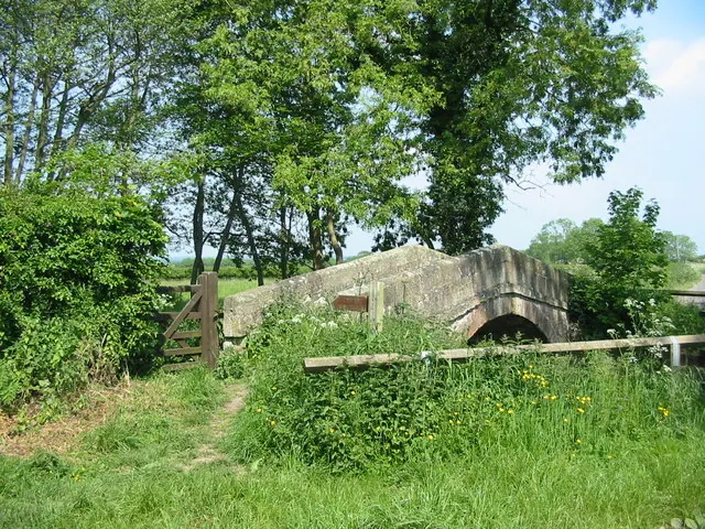 Old packhorse bridge over Pickering Beck at Ings Lane.