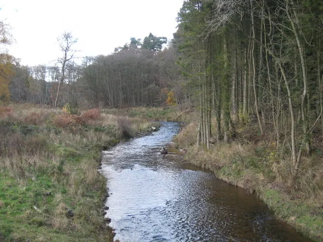River Rye at Church Bridge
