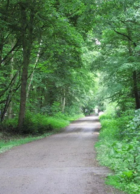 Cross Riding, Sandall Beat Wood