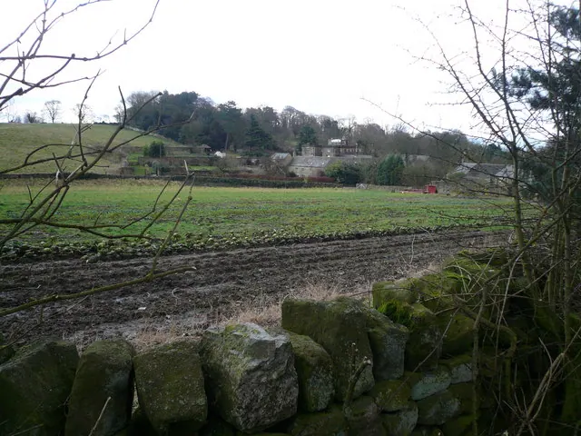 Overton Hall - View across field