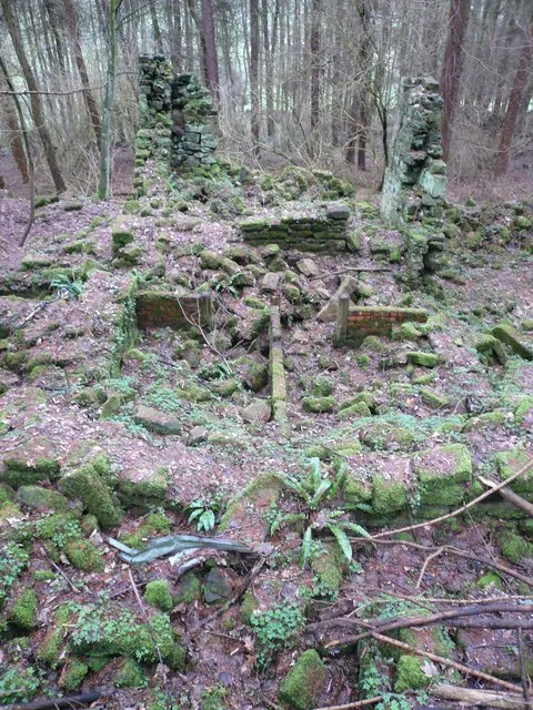 Cocking Tor - Woodland Ruin