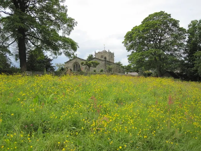 Hognaston - View across meadow of St.Bartholomew's Church