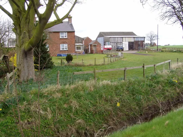 Bridge Farm