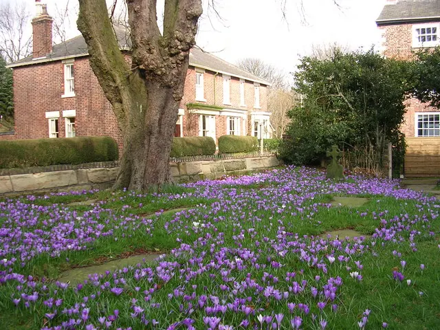 Spring at St Wilfrid's