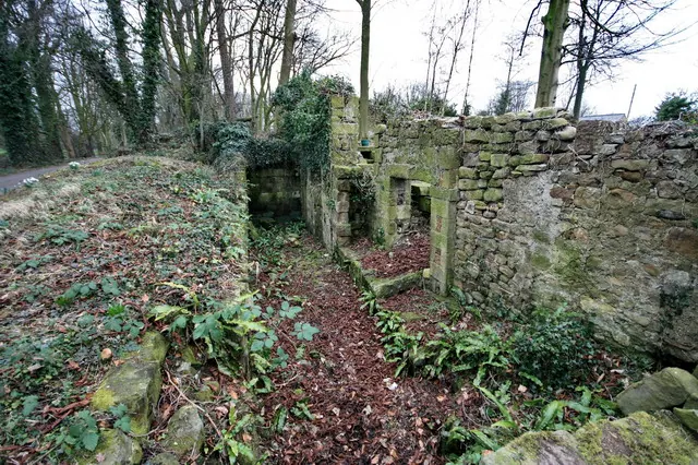 Ruined Mill