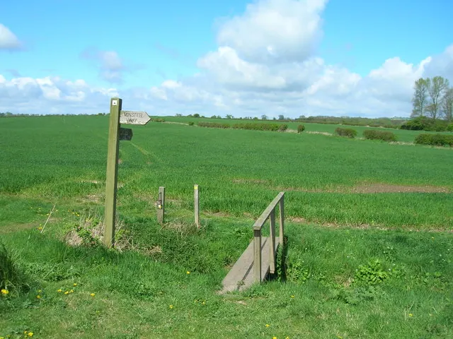 Minster Way footpath, west of Bishop Wilton