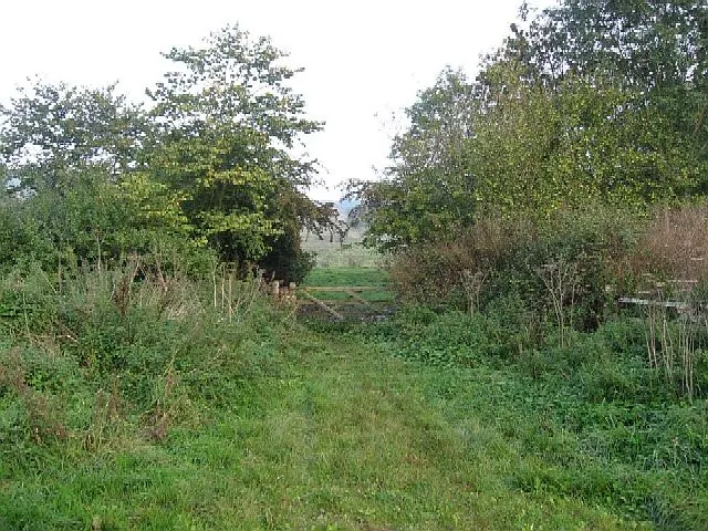 The Minster Way