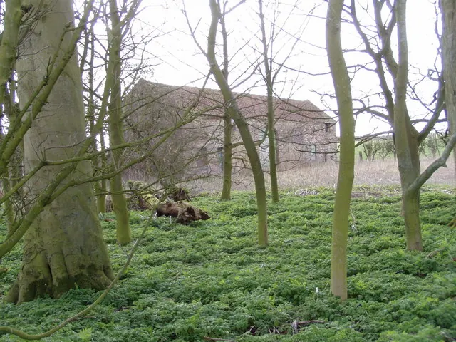 Ruined Barn on Newsham Hill Lane