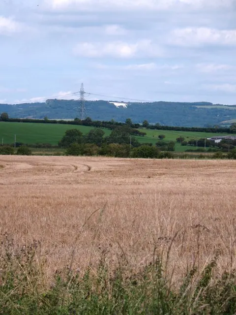 Across the fields at Birdforth