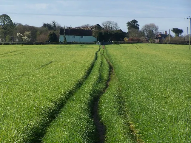 Path across field south of Cornhill Bridge, near Bettisfield