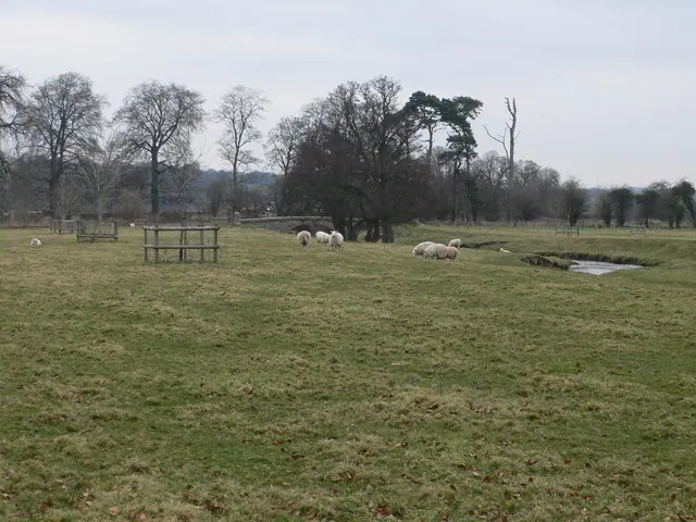 Leeswood Old Hall parkland