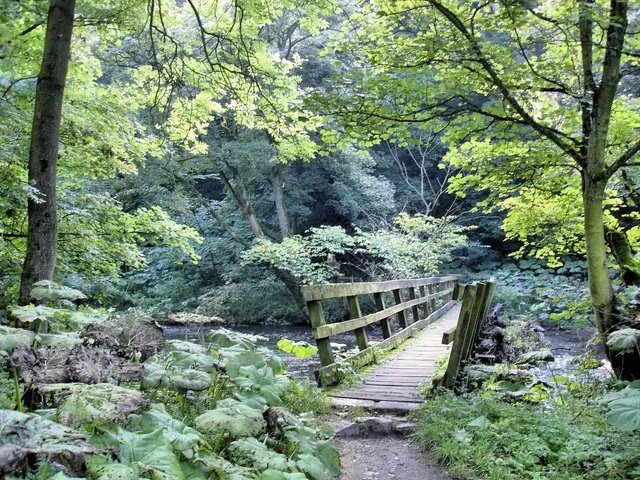 Miller's Dale - footbridge across River Wye