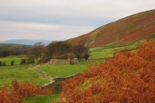 Hall Foss ruins