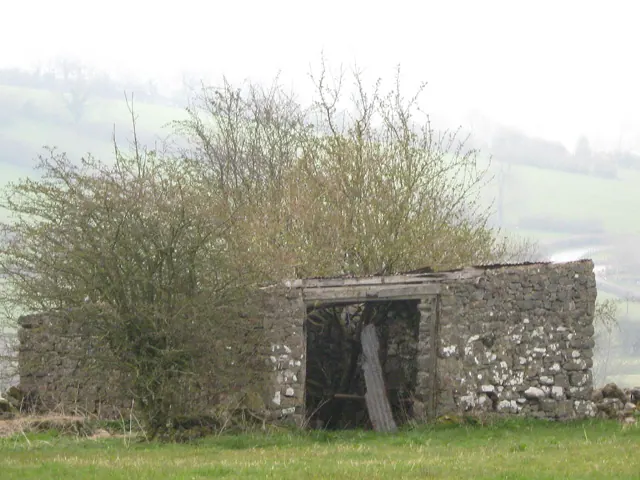Ruined Barn