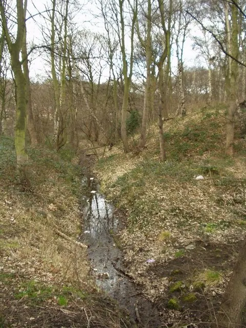 Abbey Mill Race, Hawksworth Wood