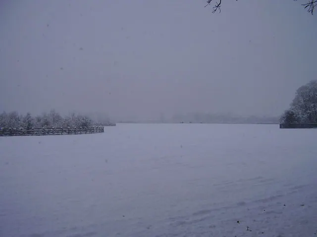 Cantley hall parkland