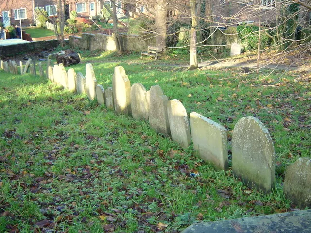 Row of gravestones in St Mary's churchyard in Mold