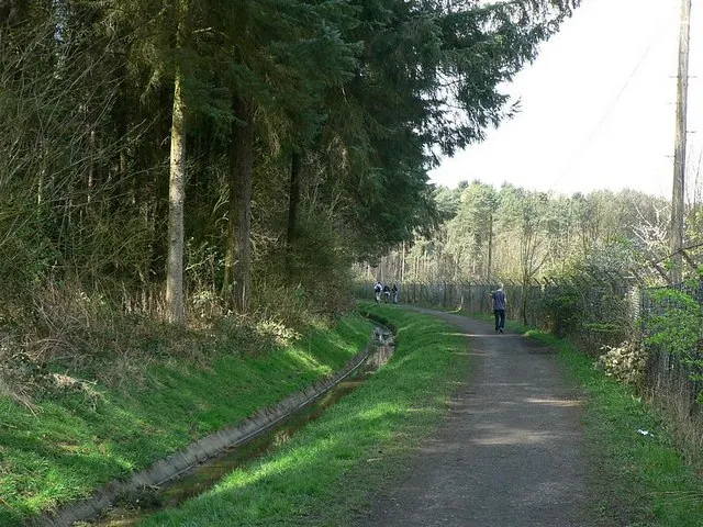 Path from Alwoodley Old Hall to Goodrick Lodge