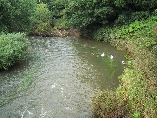The River Rye from Butterwick Bridge
