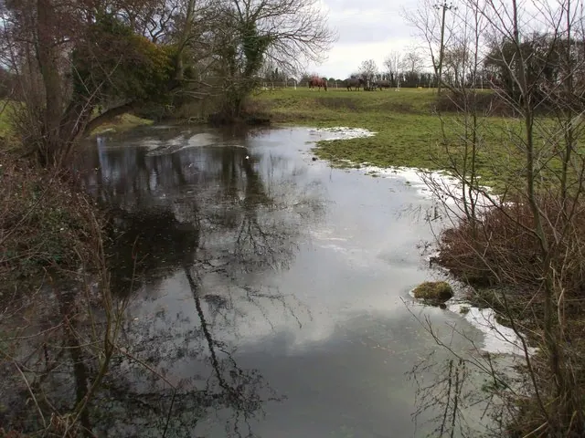 Mill Stream & Medieval Fish Ponds
