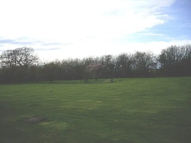 Paddock behind Crathorne Hall stable block