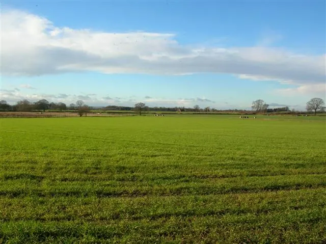 Across to Steeton Hall