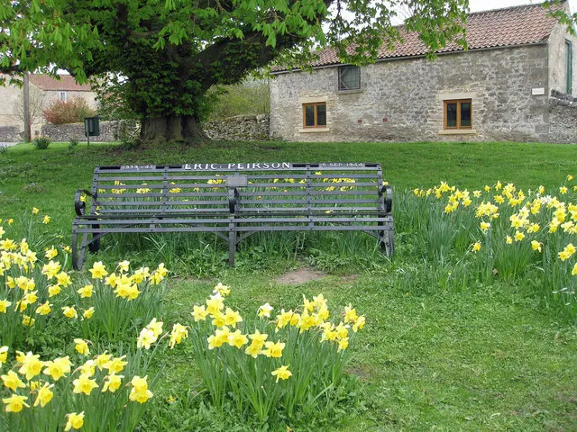 Memorial bench, Cropton village green
