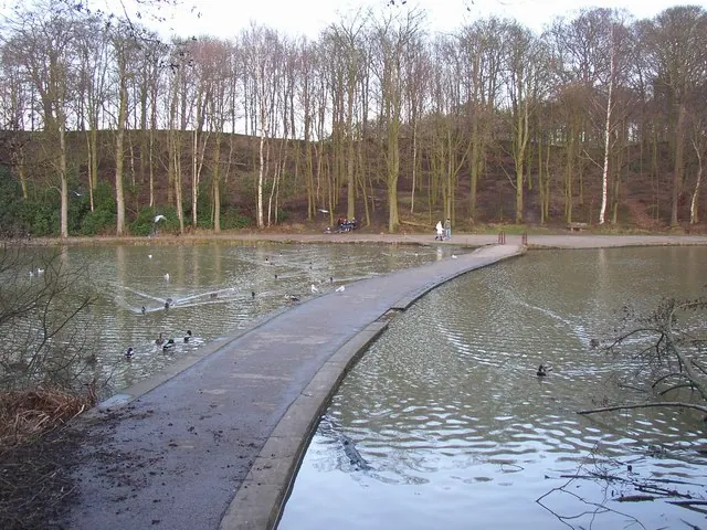 Causeway across the lake, Newmillerdam Country Park, Crigglestone / Chevet