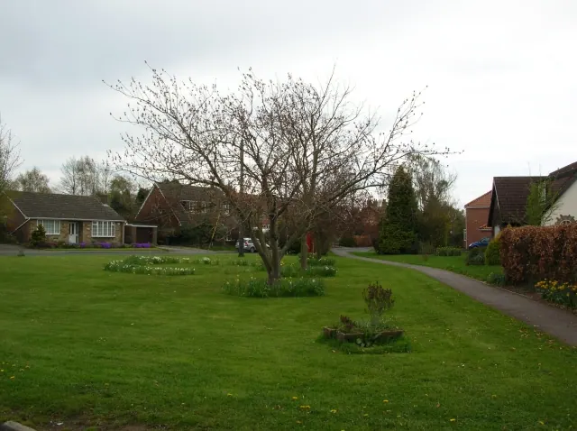 Claxton Green