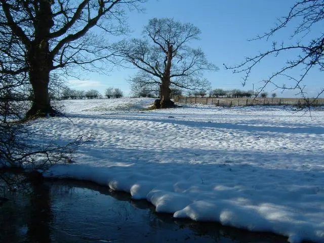 Towthorpe Medieval Village.