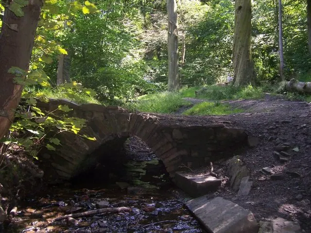 The Packhorse bridge, Graves Park