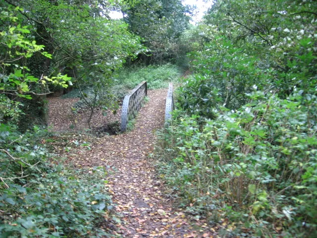 Bridge over Cogshall Brook in Kennel Wood