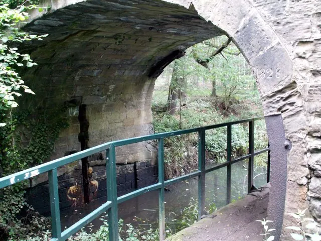 Towpath under Bridge on Barnsley Canal