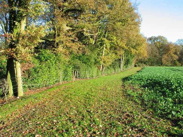 Path near Vale Royal Abbey