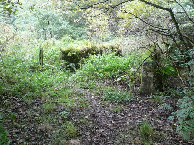 Bridge over Halldale Brook