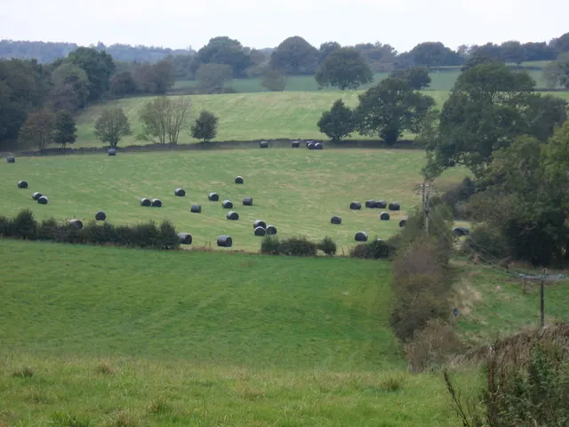 View across fields near Wingfield Manor