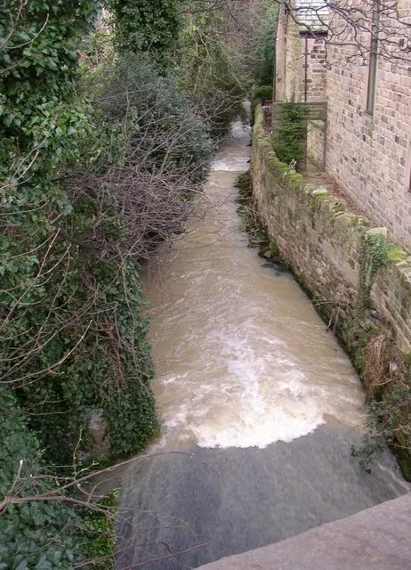 Stream downstream of Newmillerdam, off Barnsley Road, Crigglestone