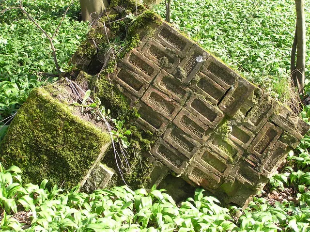 Bridge support.