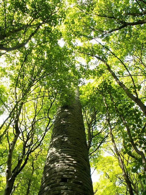 Chimney, ruins of Higher Lumb Mill
