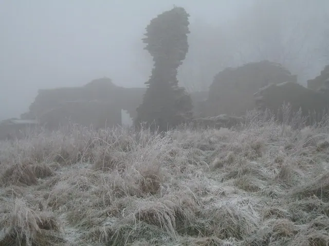 The ruins of Belle Vue farm, Dalton