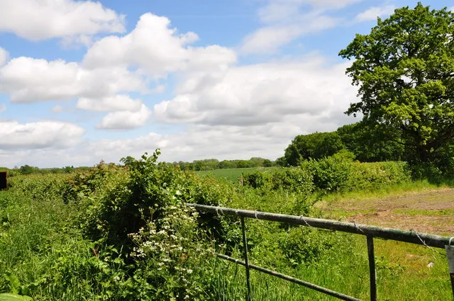 Across the fields at Drakelow - Towards Barn Farm