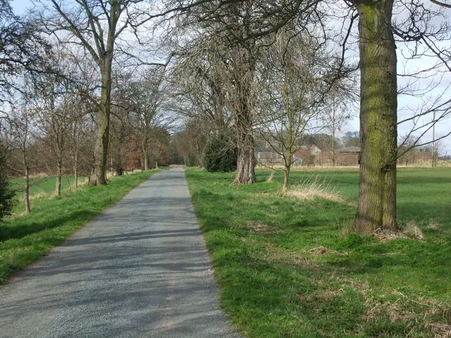 Road to Drax Abbey Farm